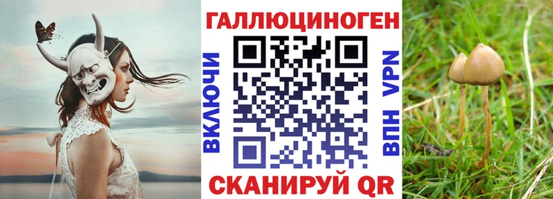 Галлюциногенные грибы ЛСД  кракен tor  Сокол 